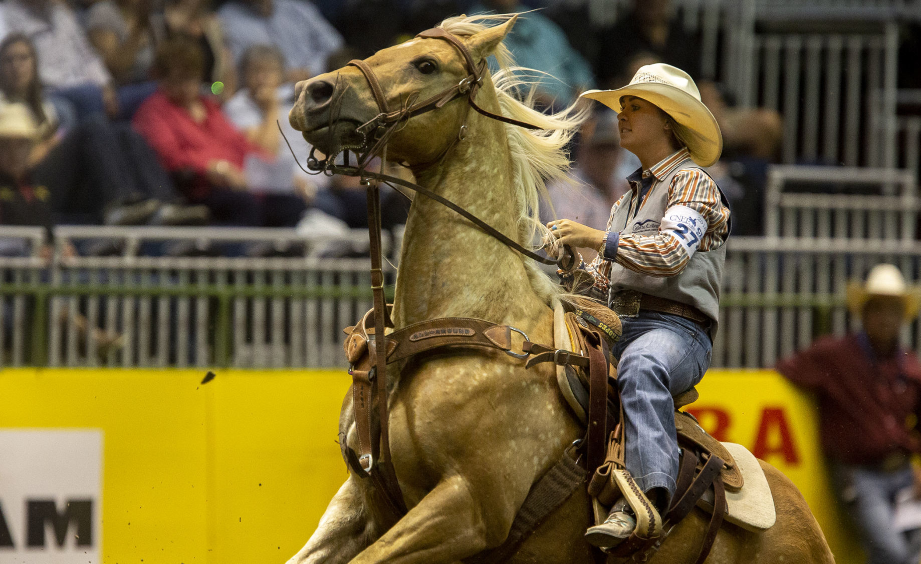 CNFR Wednesday